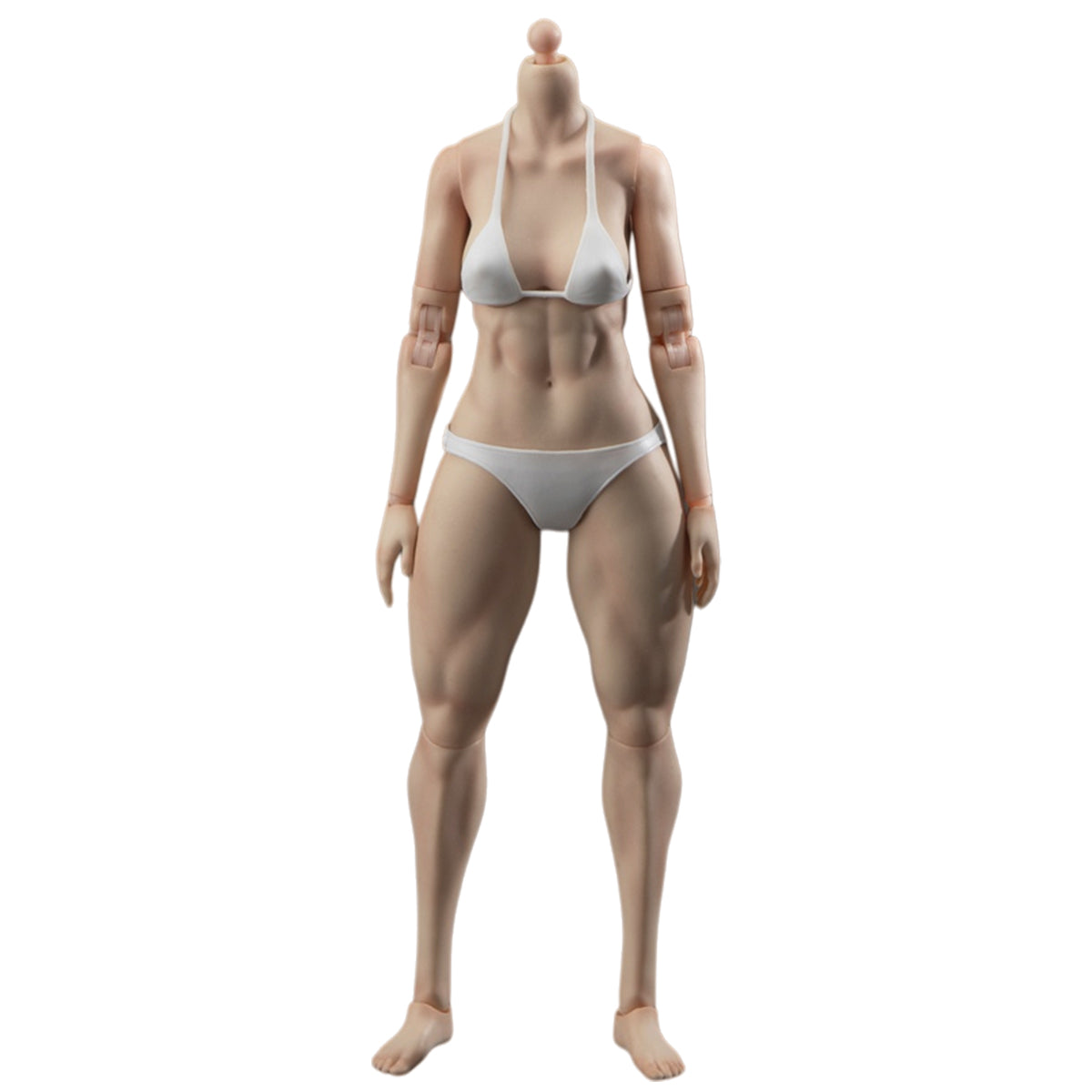 True1Toys Articulated Joints Female Muscular Legs Version EC3029 Medium Bust EC3030 Large Bust 1/6 Scale Action Figure Body