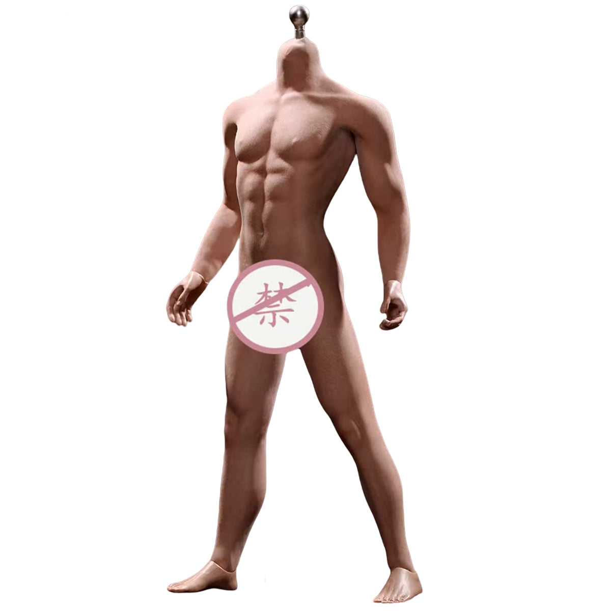 TBLeague, Seamless Male Muscular Body Suntan-Skin, Action Figures Body