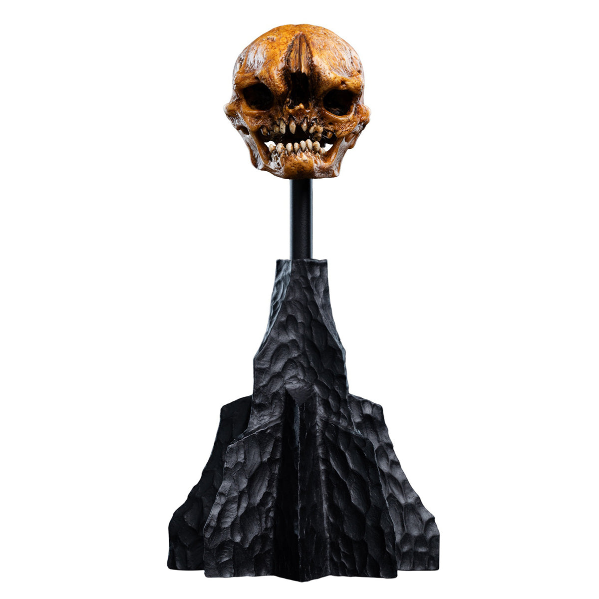 WETA Workshop The Hobbit Trilogy Skull Miniature Skull of a Misty Mountain Goblin Art Figurine