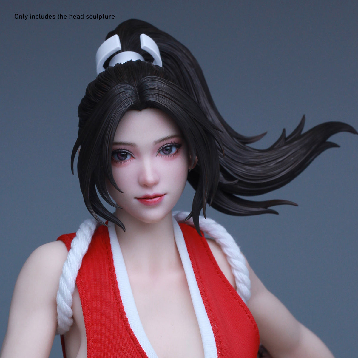 HS-VHTOYS-VH002WLH