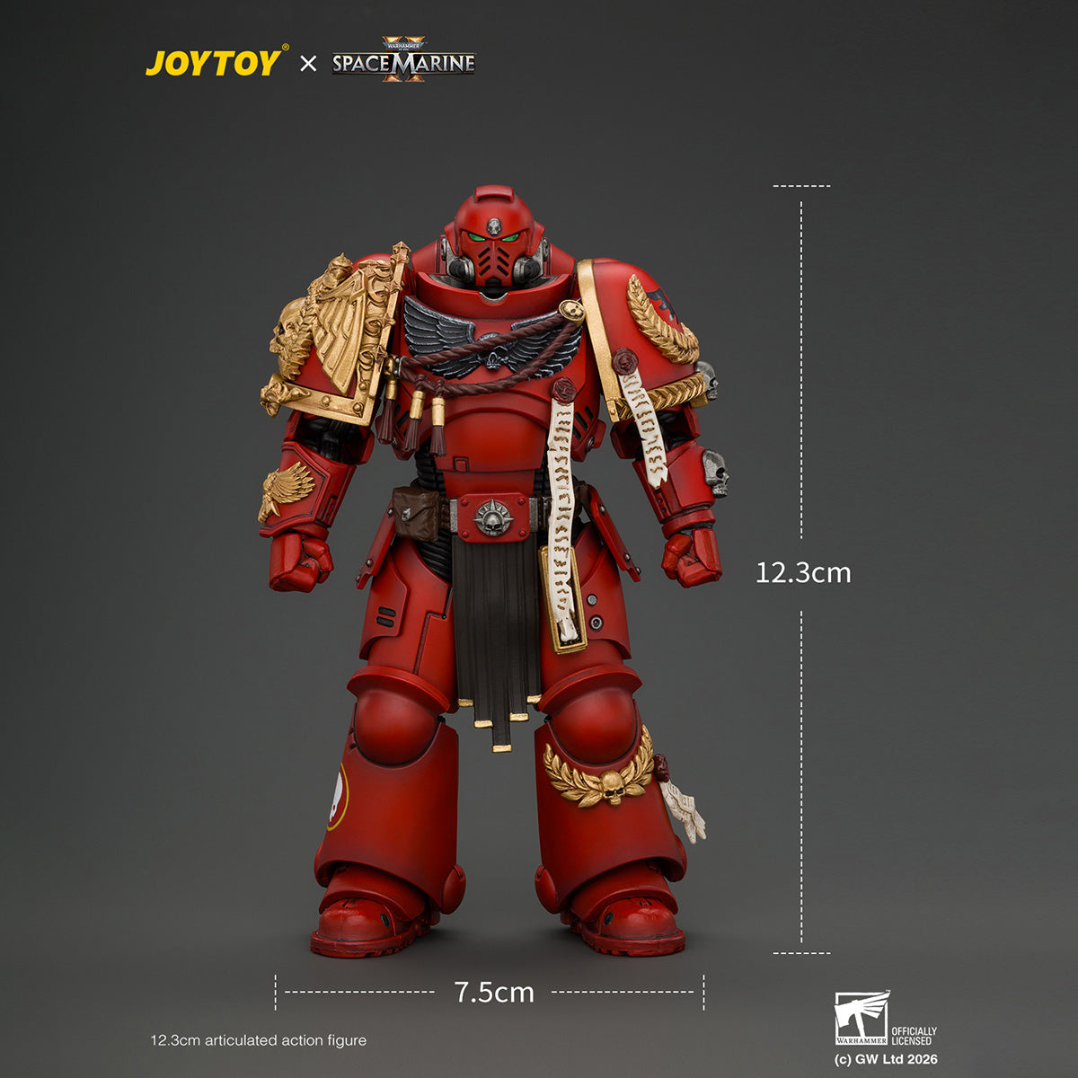 SET-JOYTOY-JT05305