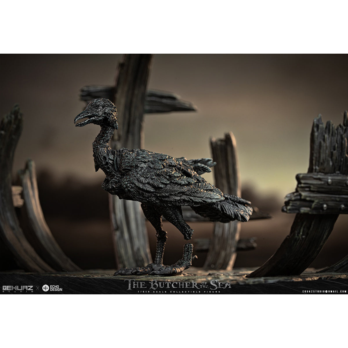 SET-EKUAZ STUDIO-EKS013