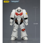 SET-JOYTOY-JT03882