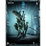 SET-52TOYS-YXX