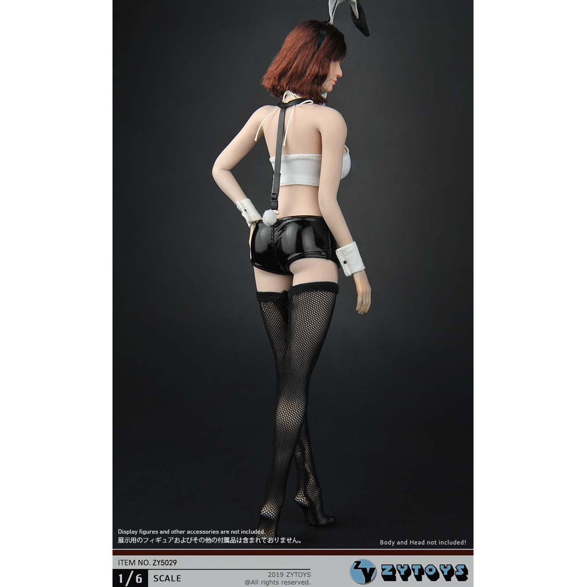 CM-ZYTOYS-ZY5029