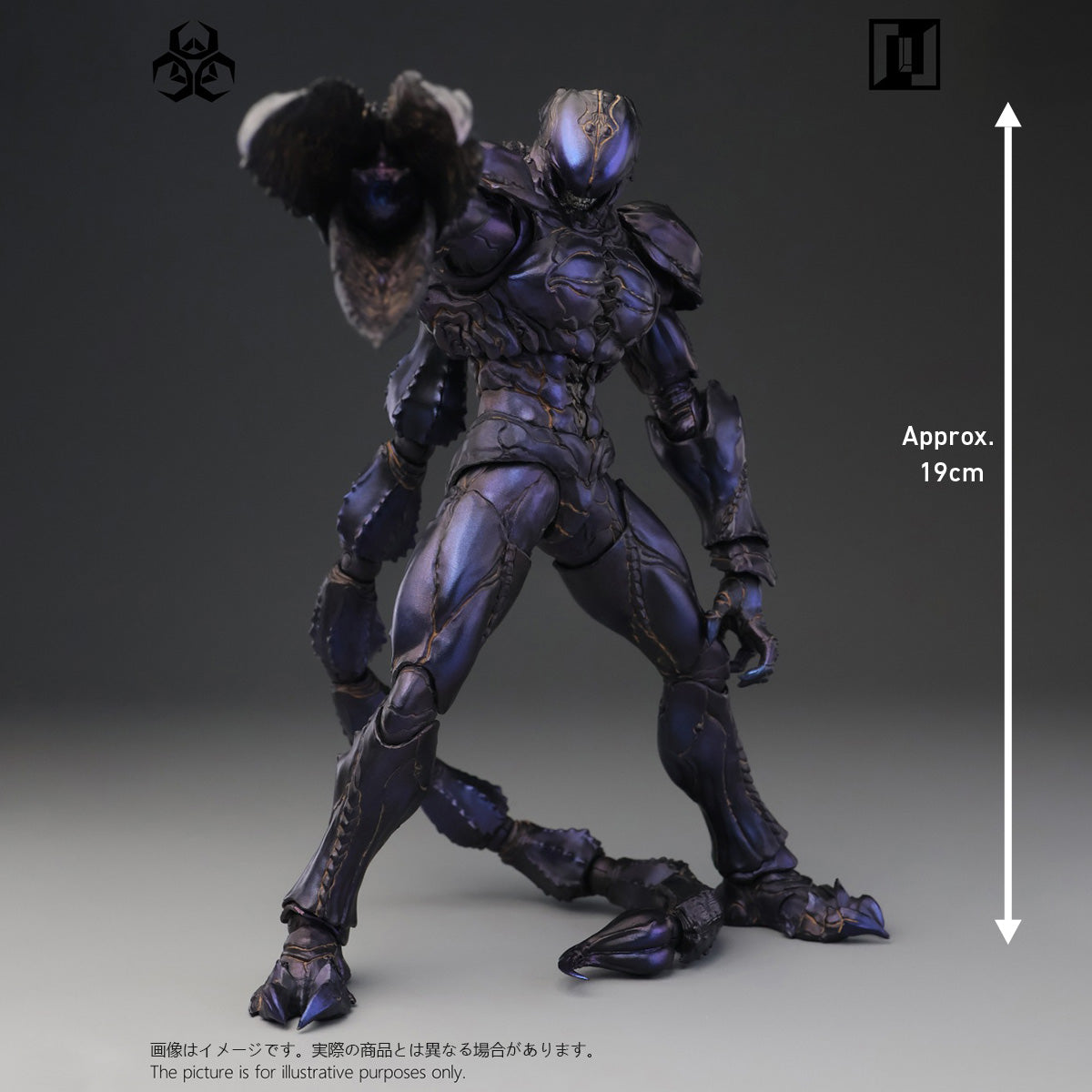 SET-Mirrfig-MF004B