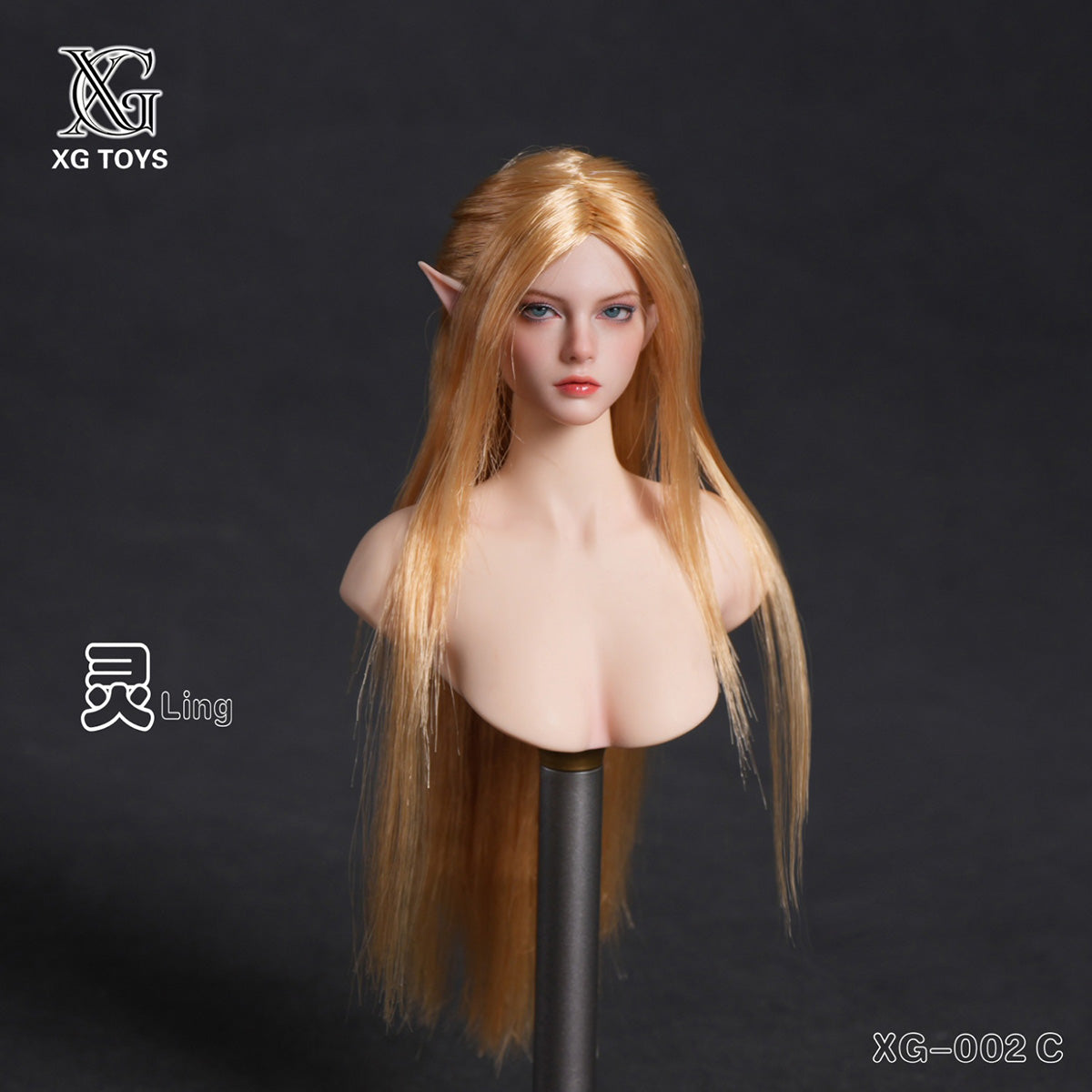 HS-XGToys-XG-002C