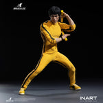 SET-INART-GyA036