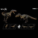 SET-BXNG-170042