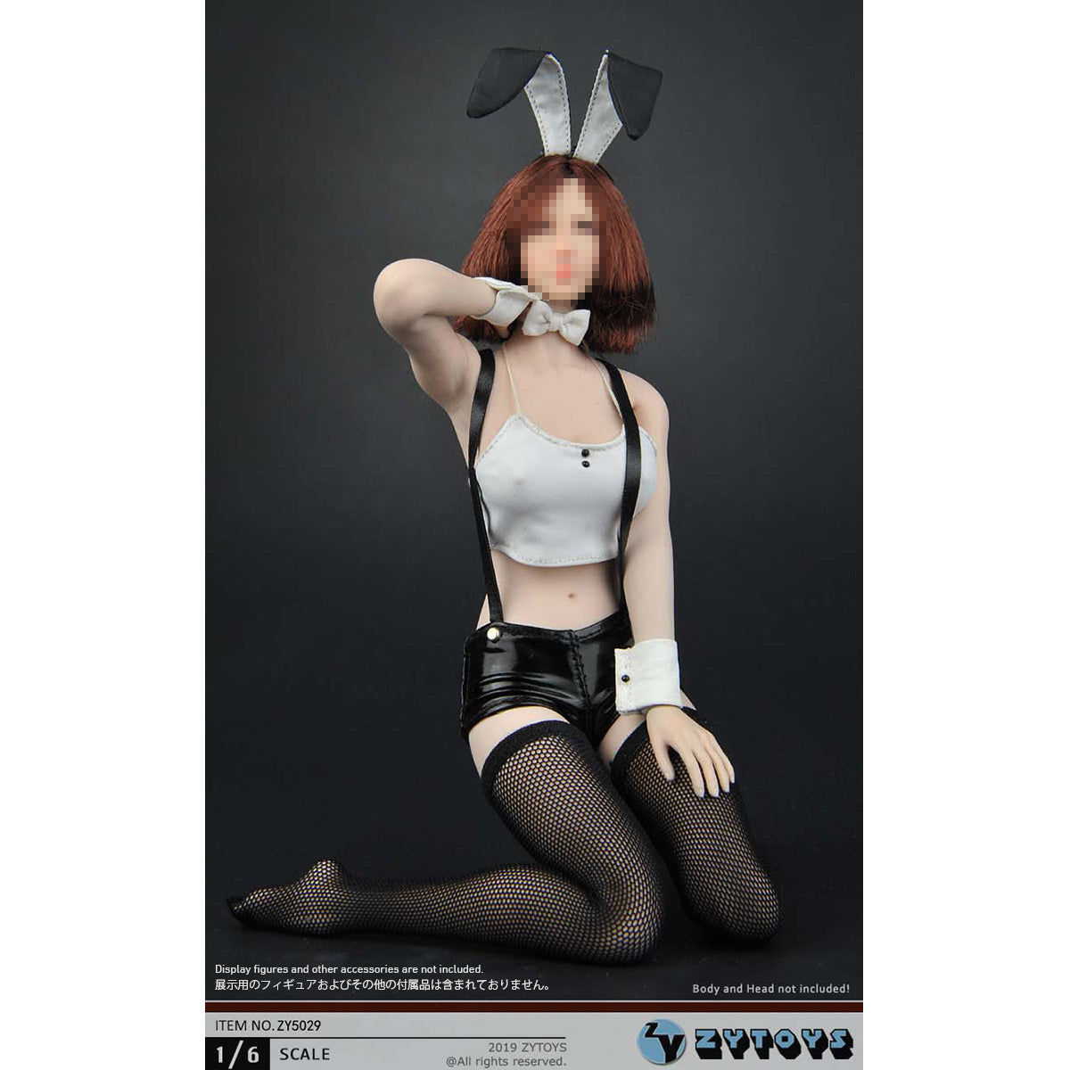 CM-ZYTOYS-ZY5029