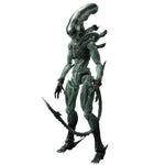 SET-52TOYS-YXX