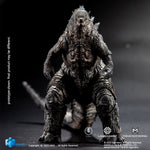 SET-HIYA-EBG0076