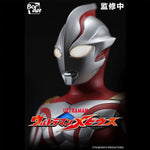SET-BJMX-MBYSBZB