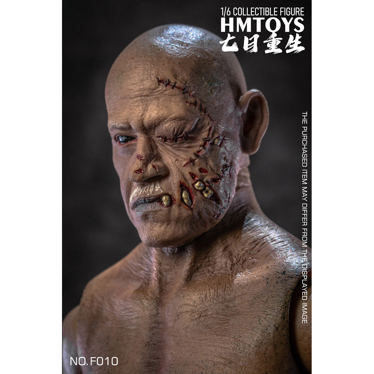 SET-HMTOYS-F010