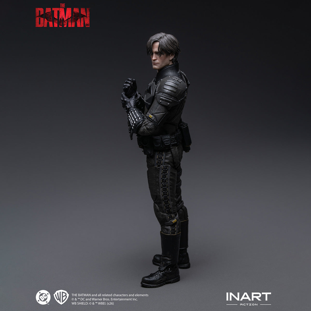 SET-INART-HgM0006