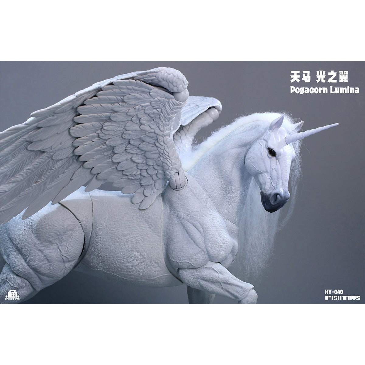 SET-Toys-HY-040