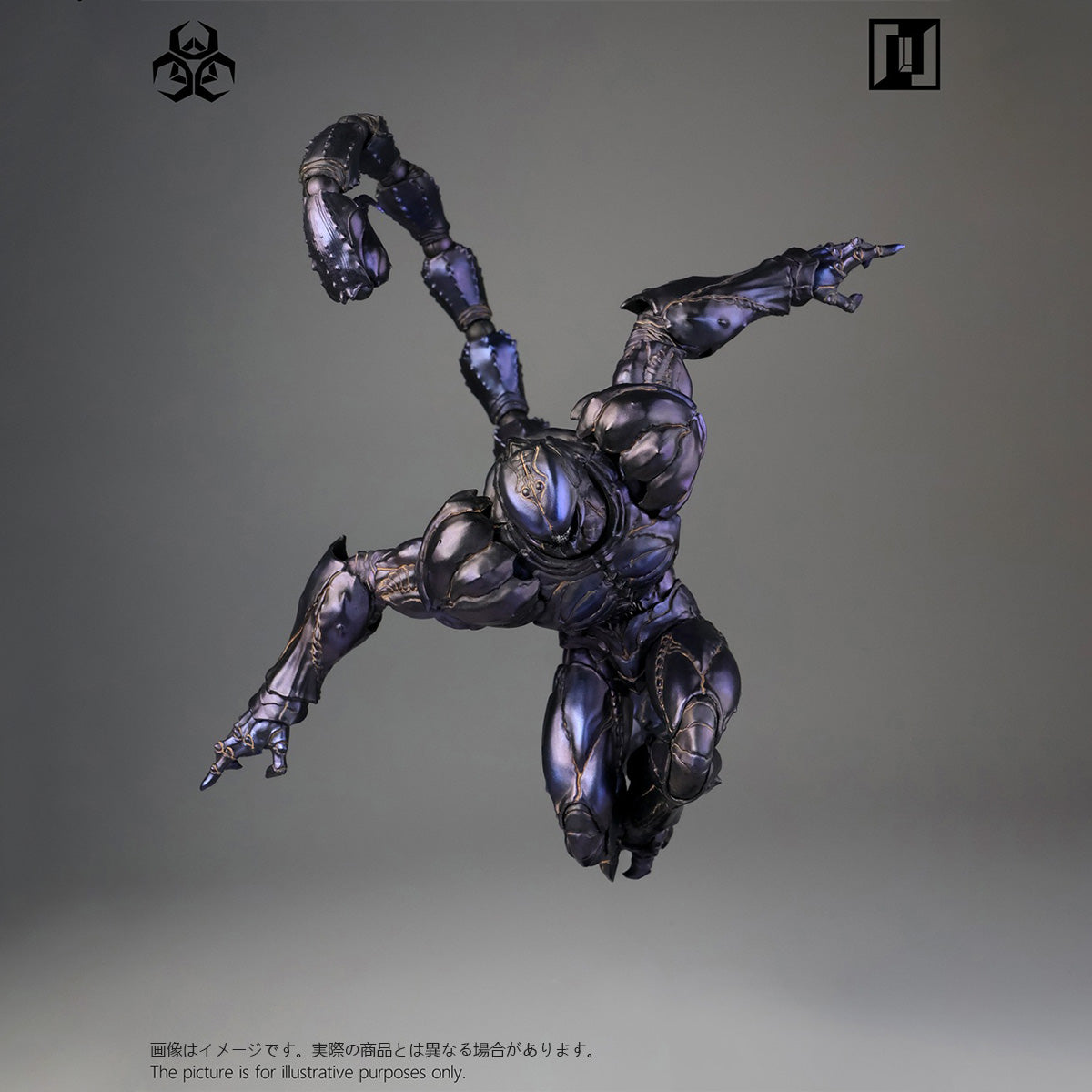 SET-Mirrfig-MF004B