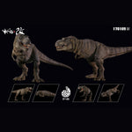 SET-BXNG-170189