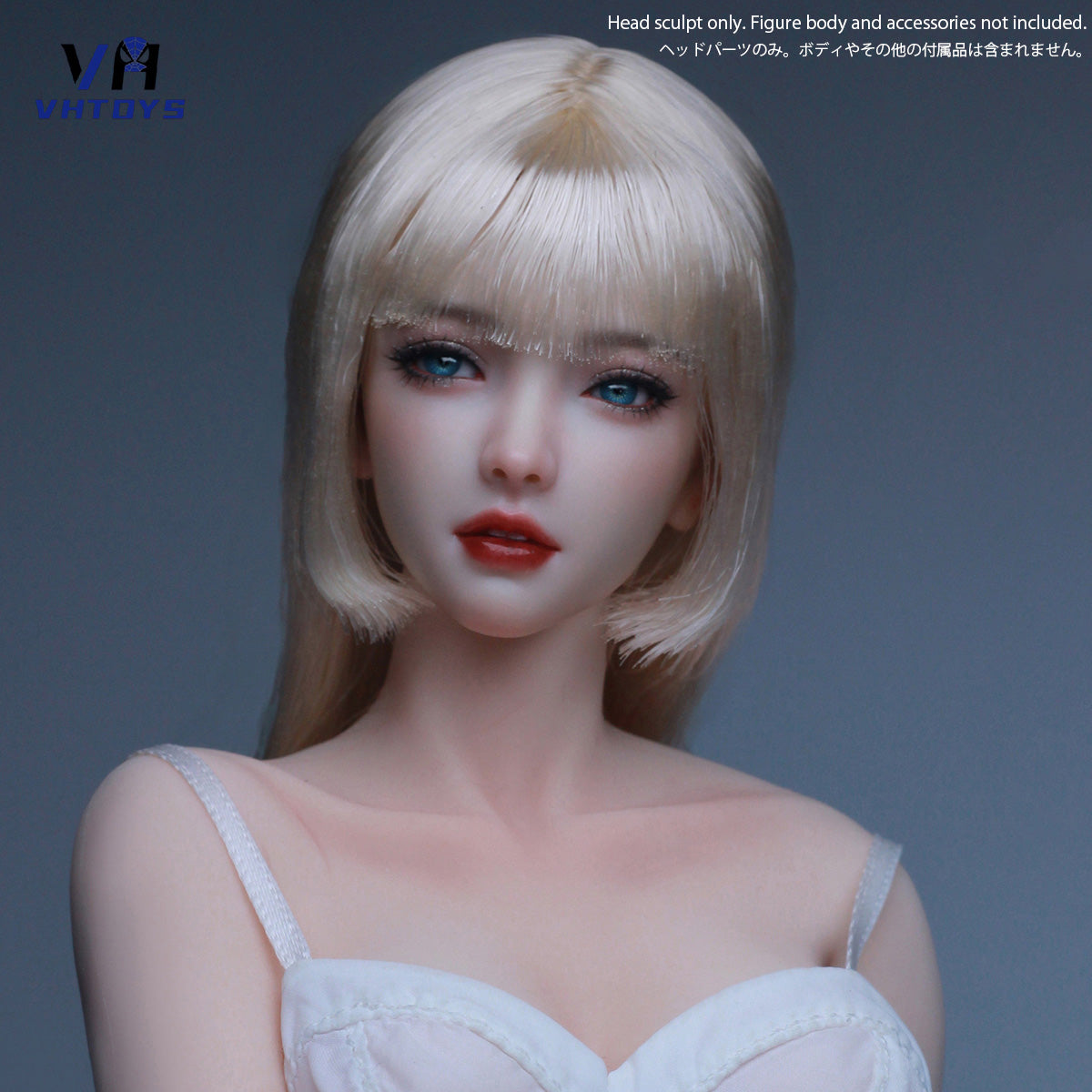 HS-VHTOYS-VH03E