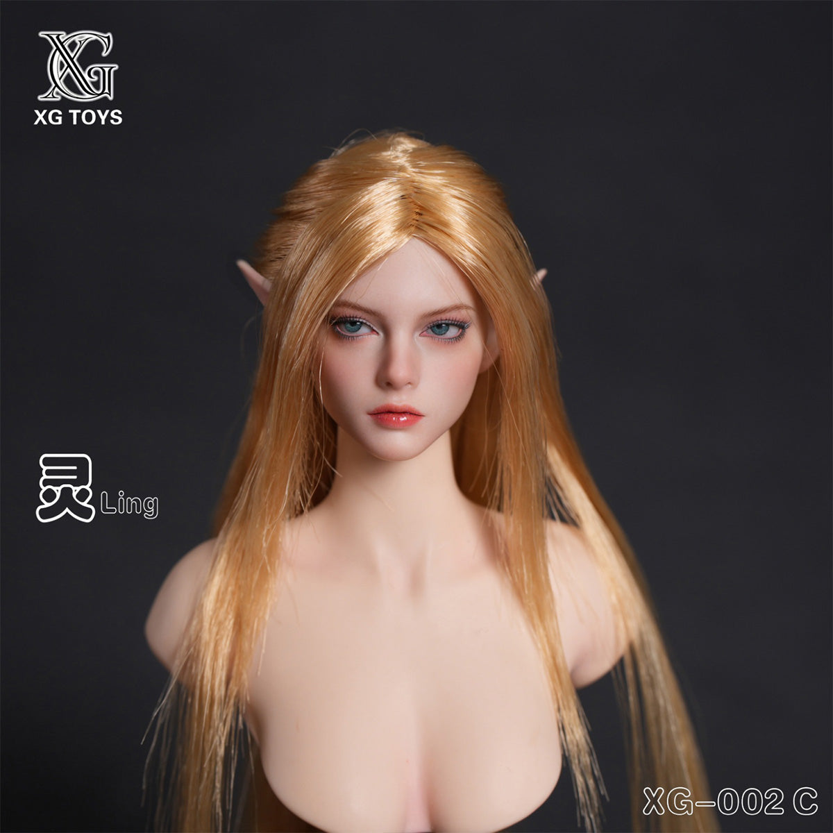 HS-XGToys-XG-002C