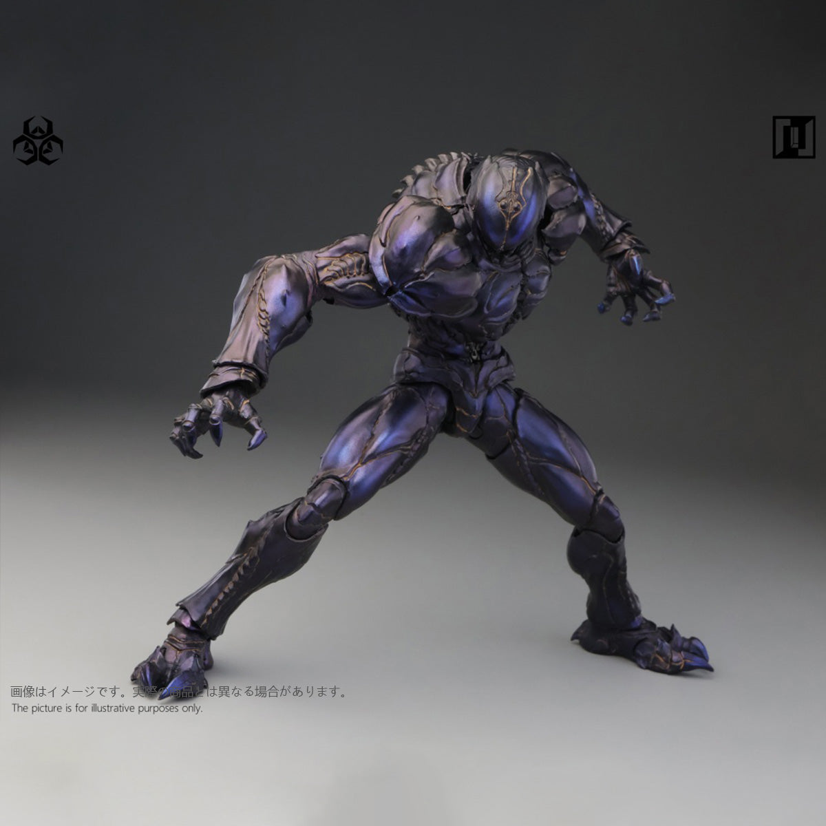 SET-Mirrfig-MF004B