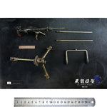 ACC-TL-SDG001