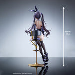 HPDX-Hobbysakura-HTBS-DX