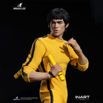 SET-INART-GyA036