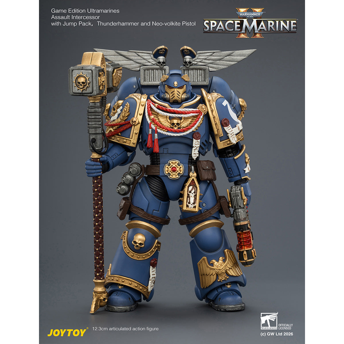 SET-JOYTOY-JT04421