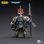 SET-JOYTOY-JT00393