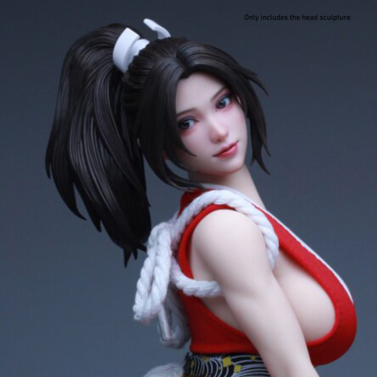 HS-VHTOYS-VH002WLH
