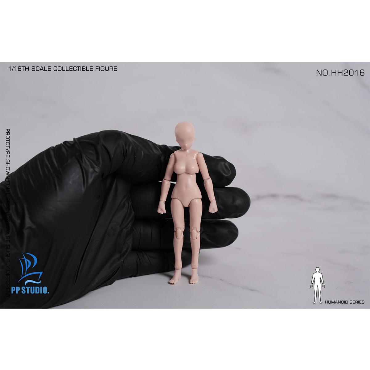 HPST-PP STUDIO-NO.HH2016
