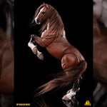 SET-YToys-HY-011B