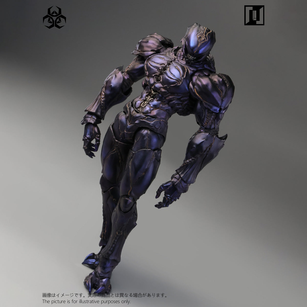 SET-Mirrfig-MF004B
