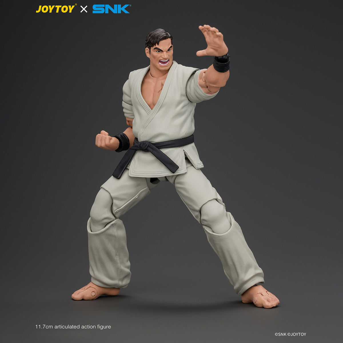 SET-JOYTOY-JT05084