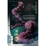 SET-Asmus toys-JJKS203A