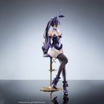 HPDX-Hobbysakura-HTBS-DX