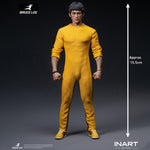 SET-INART-GyA036