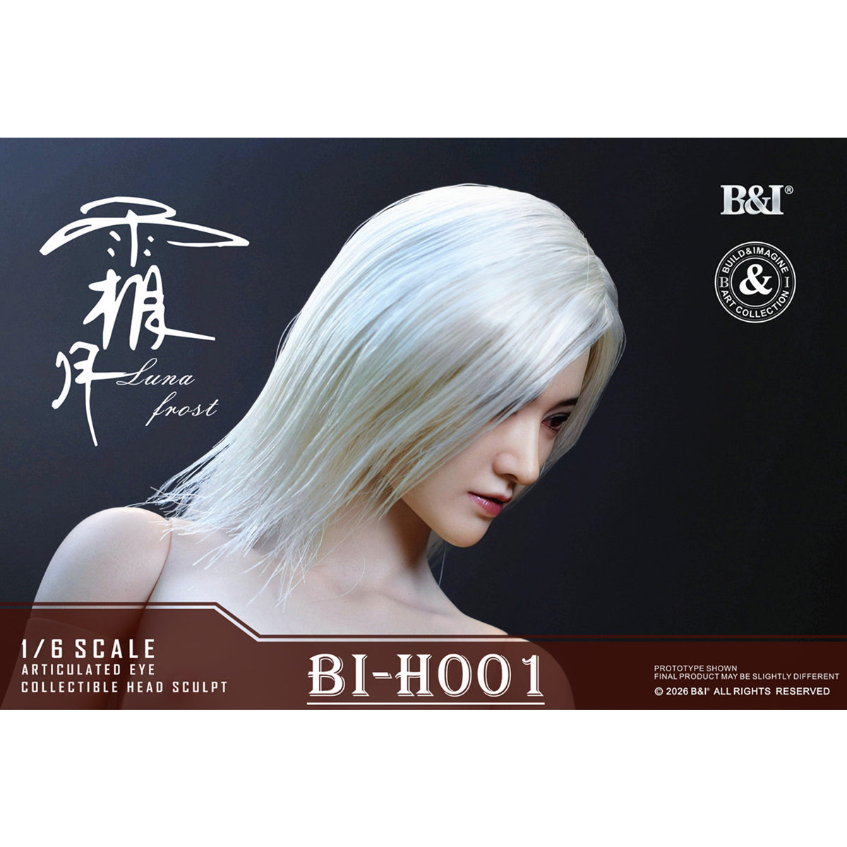 HS-BI-TDBI-H001B