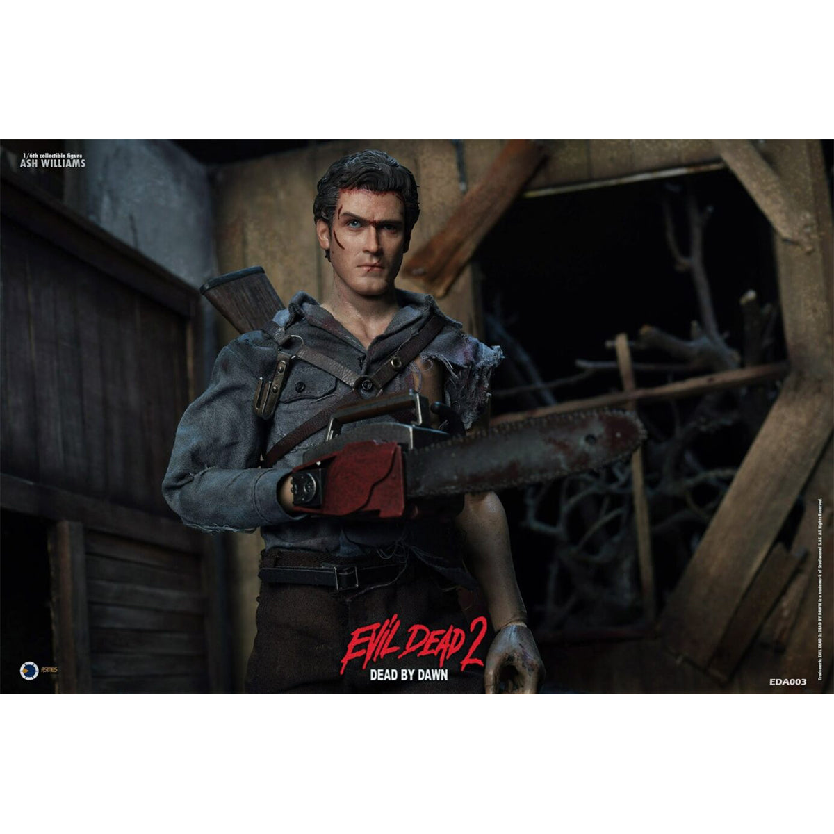 SET-Asmus toys-EDA003