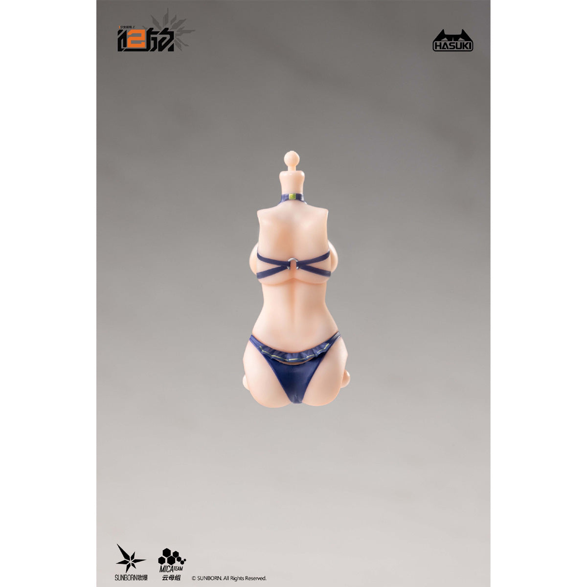 CM-HASUKI-PJ-01B