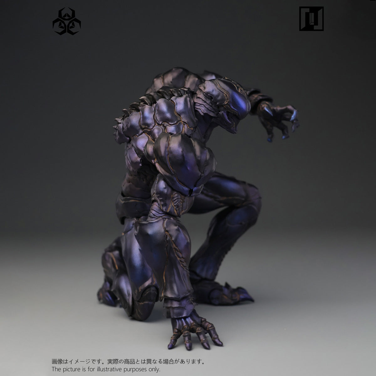 SET-Mirrfig-MF004B