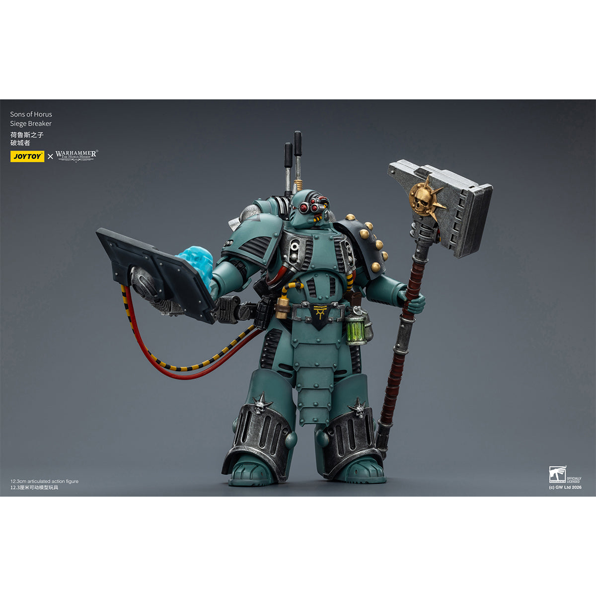 SET-JOYTOY-JT03615_US