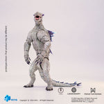 AM-HIYA-EBG0414
