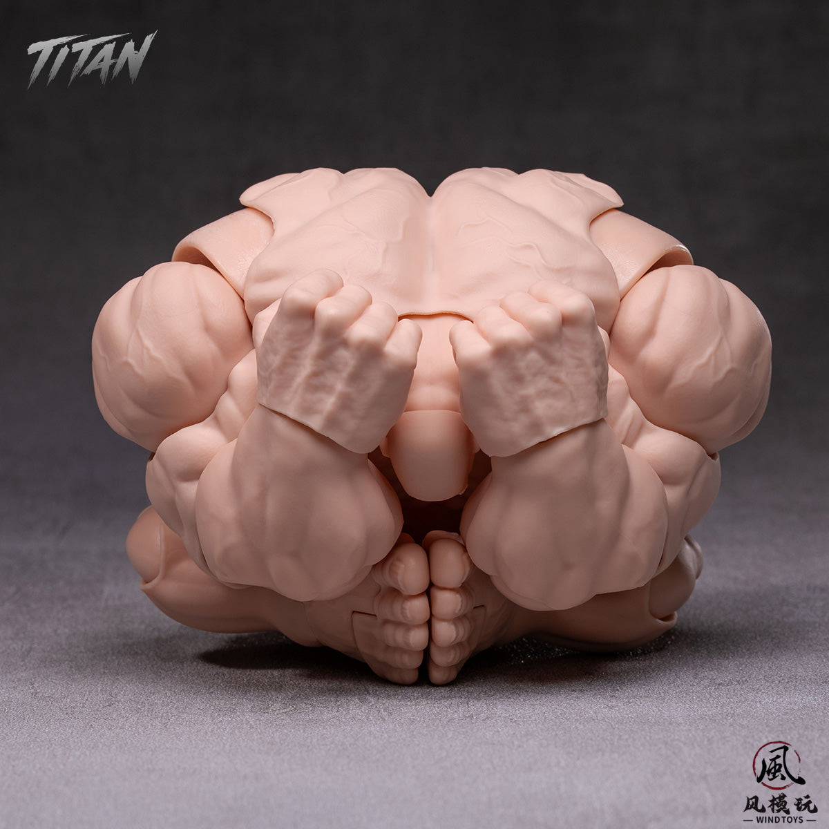 HPST-WindToys-FMW009