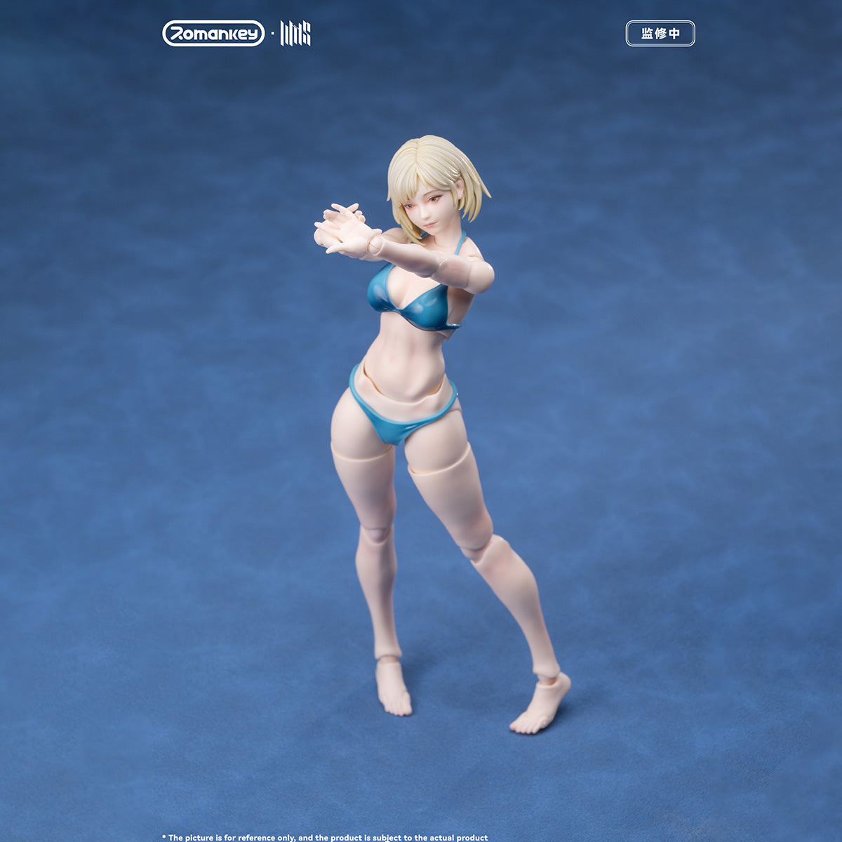 SET-Romankey-UMS004
