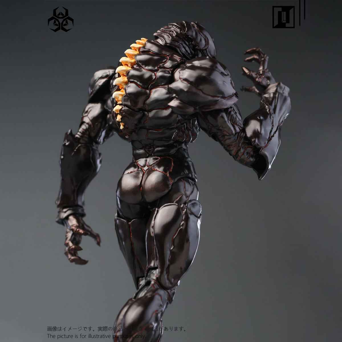 SET-Mirrfig-MF004A