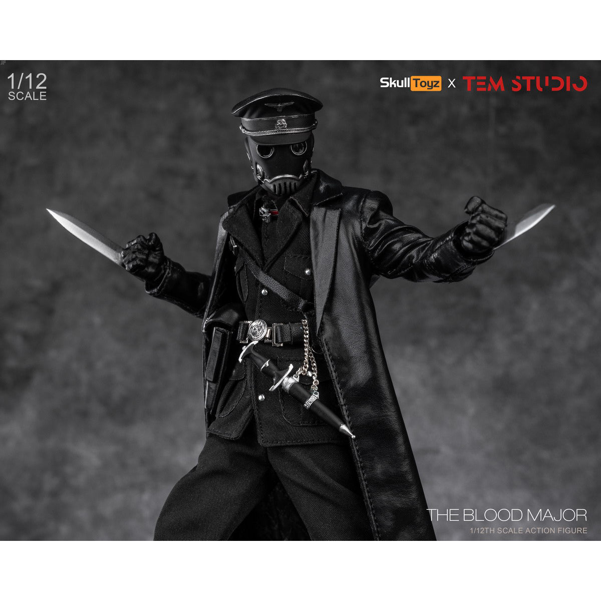 SET-TEM STUDIO-TEMS002