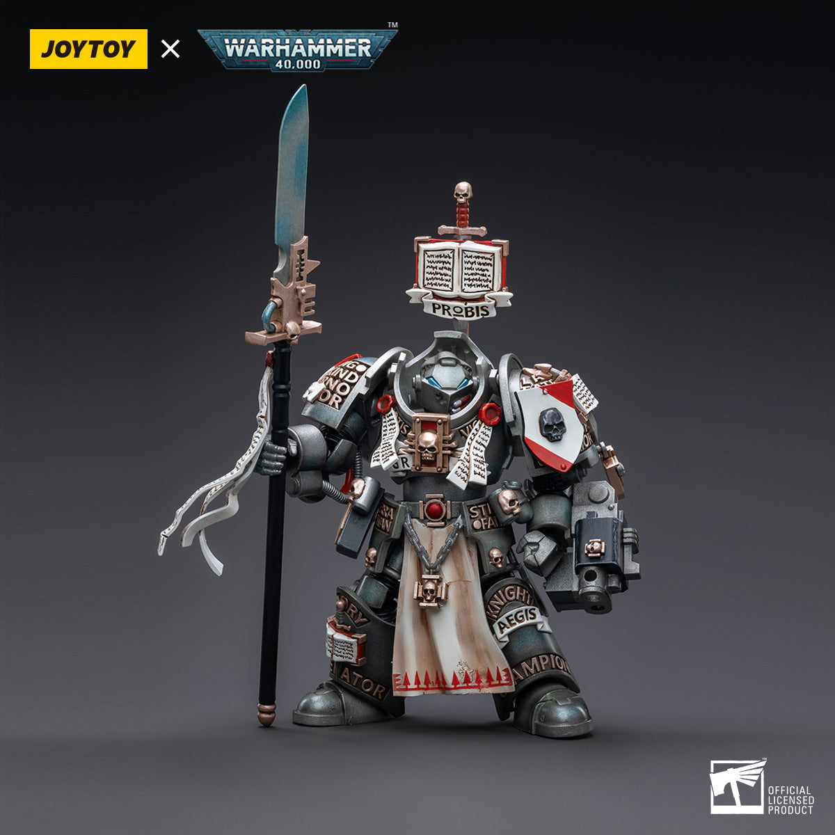 SET-JOYTOY-JT00393