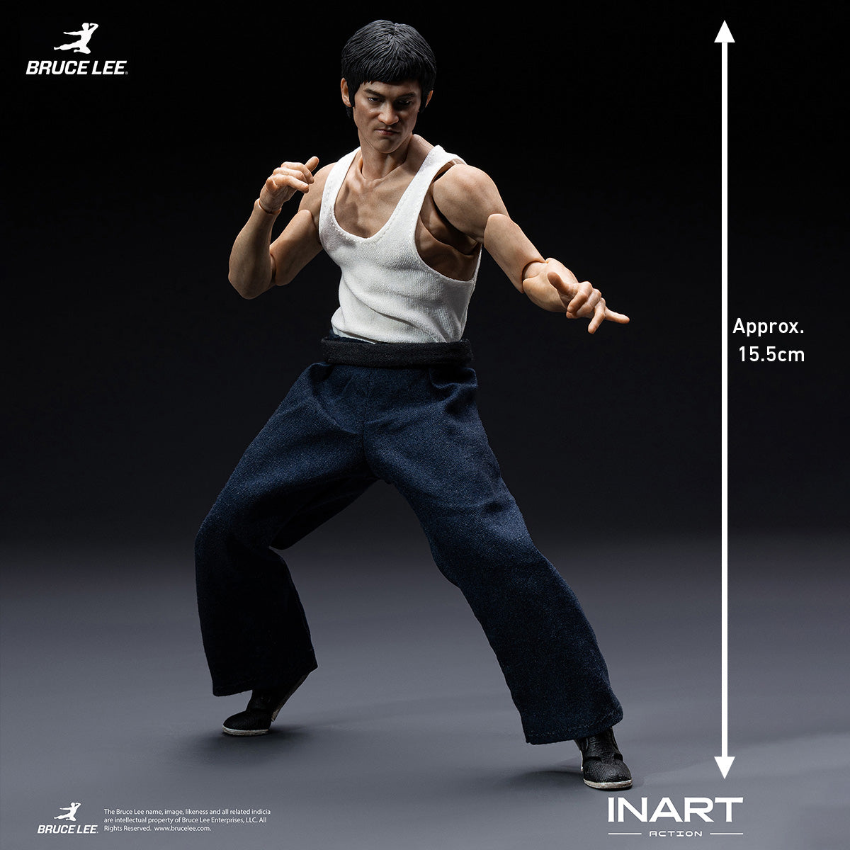 SET-INART-GyA037